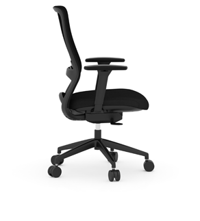 Flint Mid Back Height Adjustable, Seat Slider, 4 Position Lock, 4D Arms
