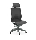 Atlas II Optional Headrest