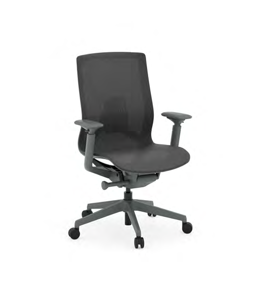 Optional Adjustable Arms